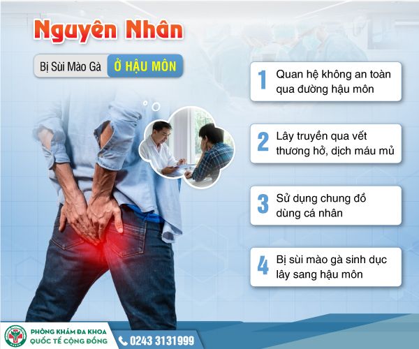 Tại sao bị sùi mào gà hậu môn? – Lắng Nghe Chuyên Gia Giải Đáp