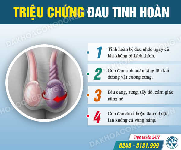Chủ quan đau tinh hoàn phải – nhiều người bị cắt bỏ